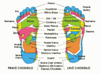 Reflexnú masáž a Reflexoterapiu chodidiel